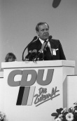 Wallmann, Walter